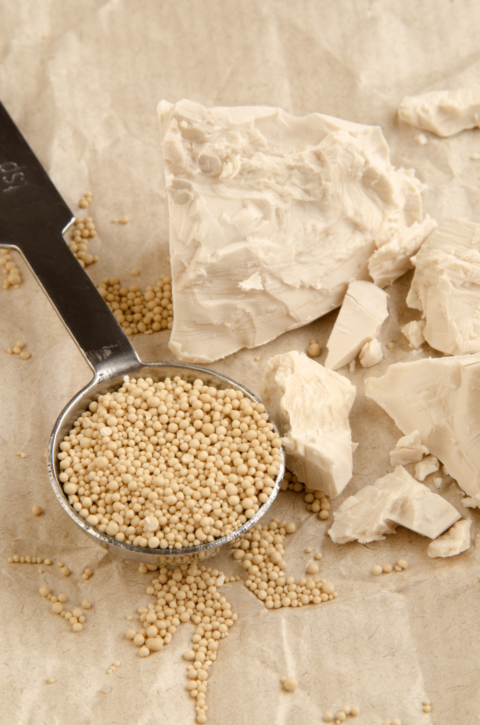 Yeast | Baking Ingredients | BAKERpedia