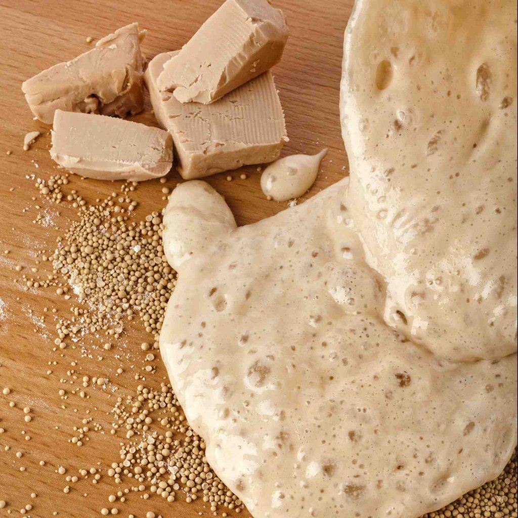 Yeast Baking Ingredients BAKERpedia