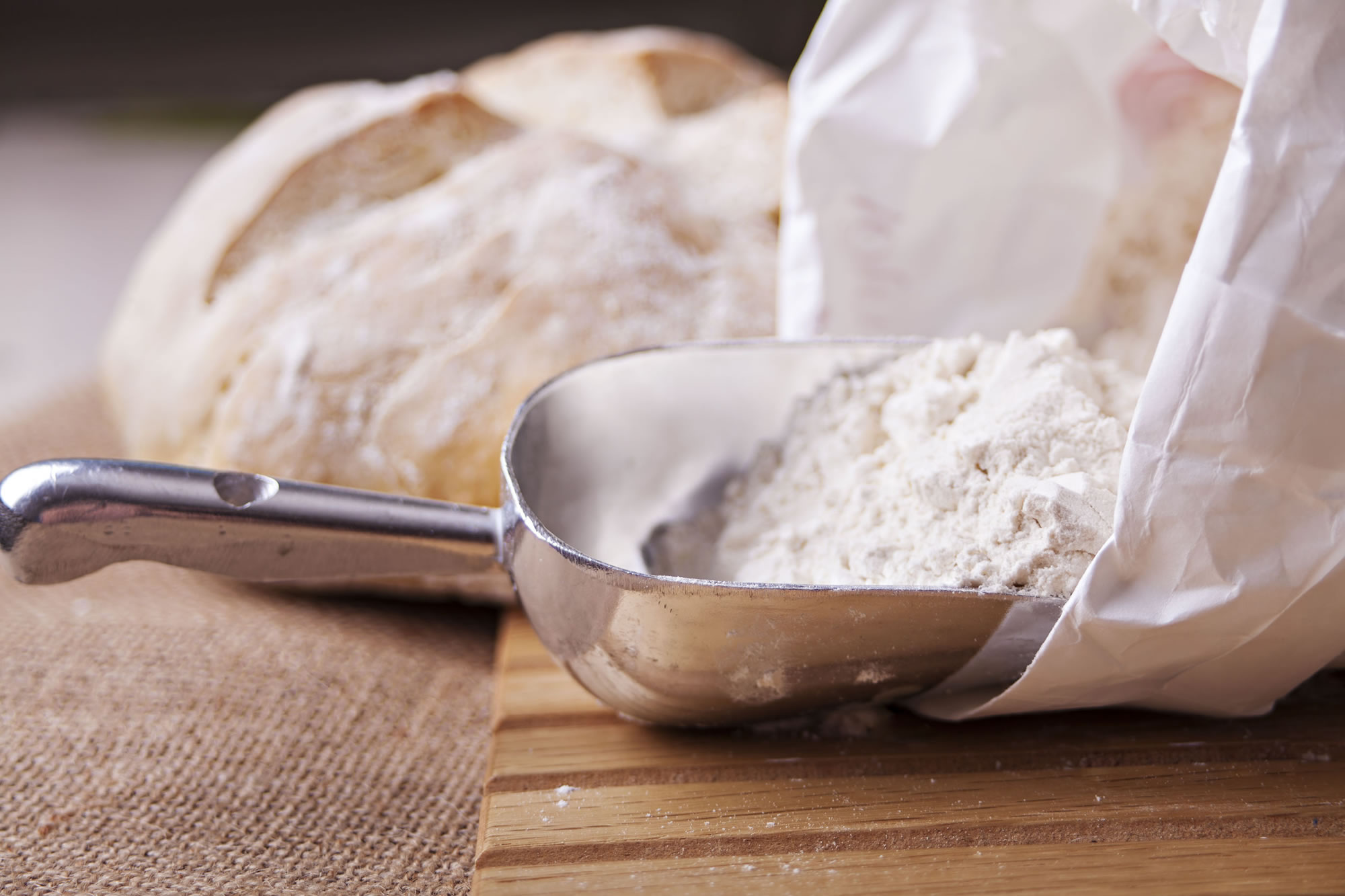 scoop of bread flour