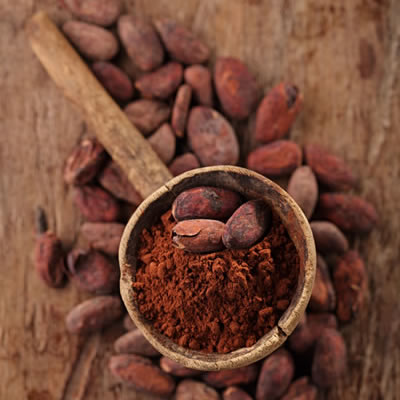 Dutched Cocoa Powder | Alkalized Cocoa | Baking Ingredients | BAKERpedia