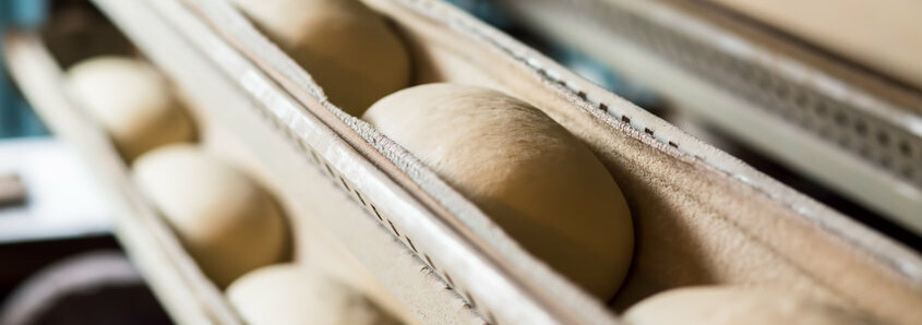 Dough conditioners are added to leavened wheat doughs to enhance their bread making properties.