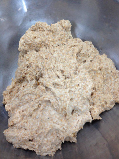 How to Make Sprouted Wheat Berries | Research | BAKERpeida