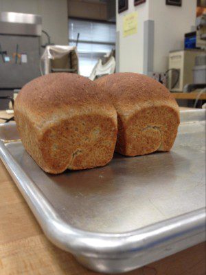 sprouted wheat bread 