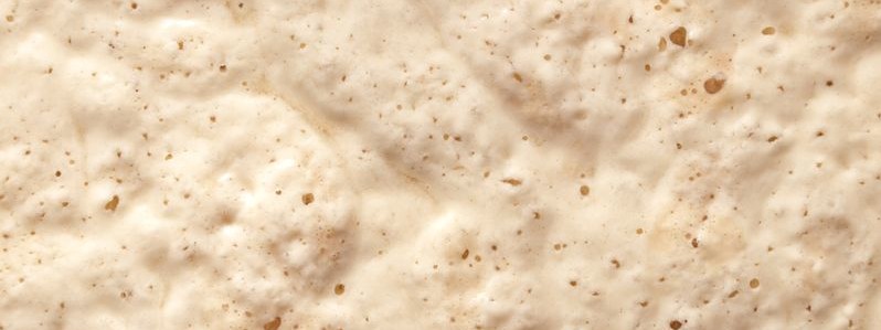 Is the Sponge and Dough Method Worth It? | Blog | BAKERpedia