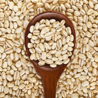 barley grain