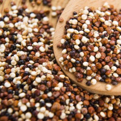 Ancient grains is an umbrella term for grains and pseudocereals not bred or genetically manipulated for many centuries.