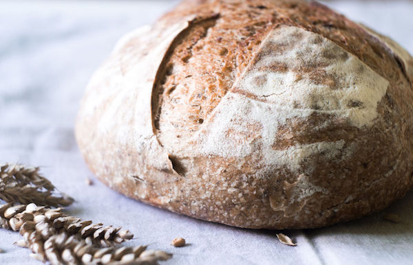 Science of Sourdough Bootcamp.