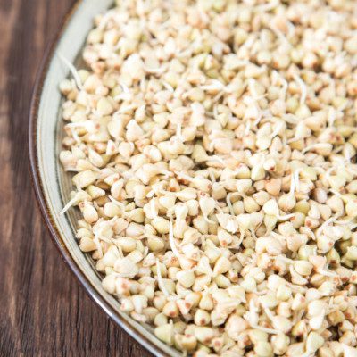 Sprouting or malting is the controlled process of allowing germination of grains.