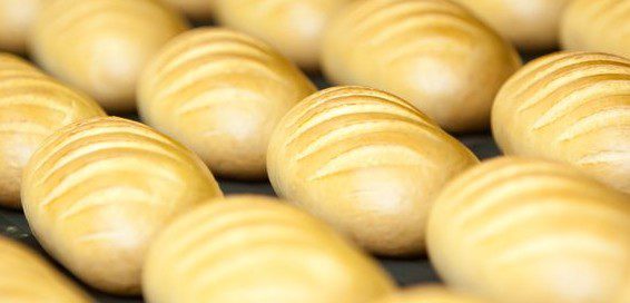 Bread processing is a broad term describing the overall manufacturing process of breads and buns.