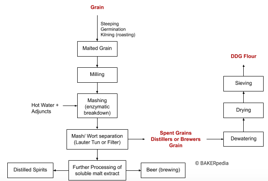 Block diagram of the production process of DDG flour.