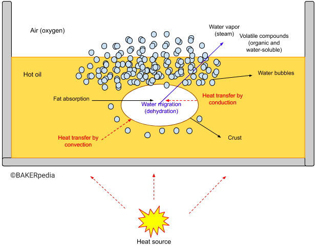 Frying involves heat and mass transfer.