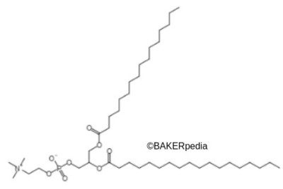 A lecithin molecule.