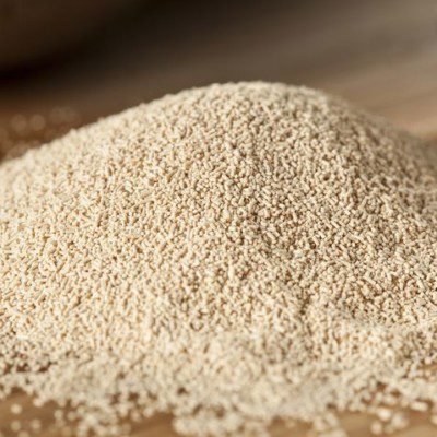 Yeast | Bakers&#39; Yeast | Baking Ingredients | BAKERpedia