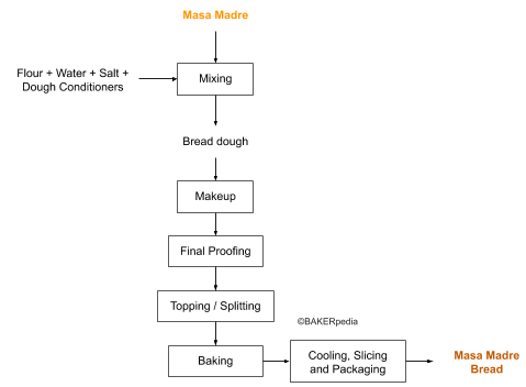 Masa Madre in bread production.