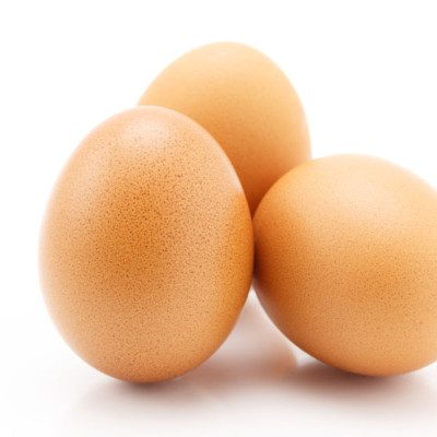 The egg is a very nutritive food source used in baking for a variety of functions.