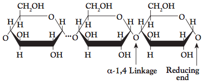 Starch is made up of linear and branched polymers of D-glucose.