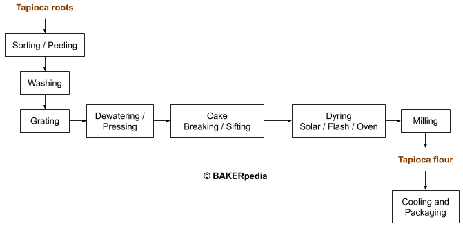 The production process for tapioca flour.