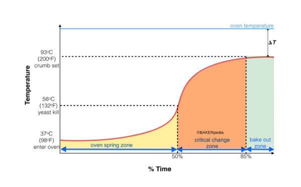 An example of an S-curve for a yeast-leavened wheat dough during baking.