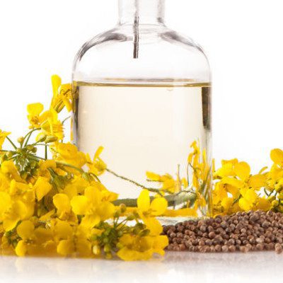 Canola oil is one of the most important vegetable oils in food production.