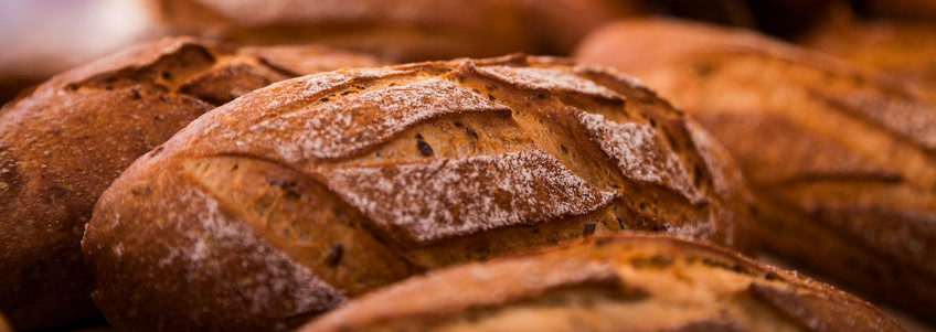 Enzyme solutions in bread baking.