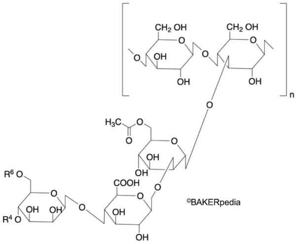 Chemical structure of xanthan gum.