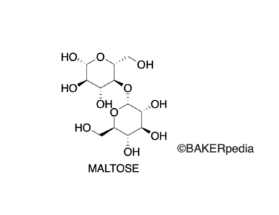 Maltose is a disaccharide made up of 2 glucose units. It is a reducing sugar, so it contributes to Maillard browning and caramelization reactions.