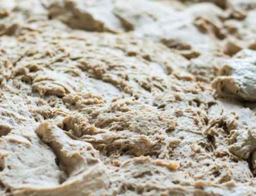 How the Mixolab Can Help Analyze Dough