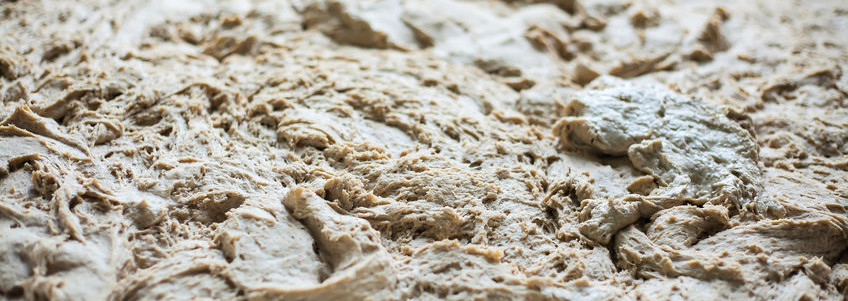 How the Mixolab can help analyze dough.