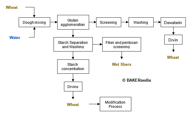Modified wheat starch is simply wheat starch that has been modified for specific uses. Wheat, corn, and any other cereal starch