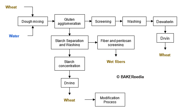 Starch in Food- What is Native Wheat Starch?