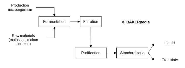 Cellulase | Baking Ingredients | BAKERpedia