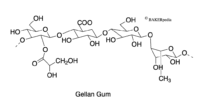 Gellan Gum | Baking Ingredients | BAKERpedia