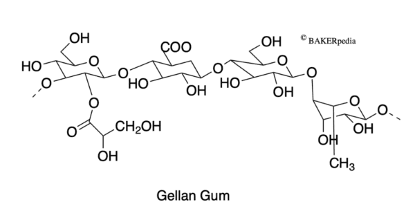 Gellan gum is a polysaccharide and food additive commonly used as a binder, texturizer and stabilizer.