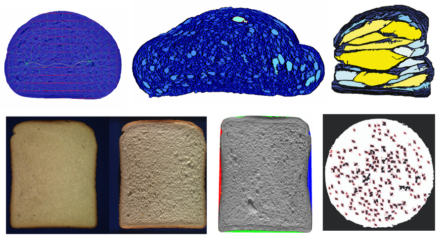 Examples of processed images from the C-Cell.