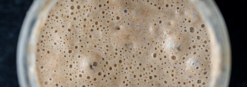 The technology of sourdough starters in baking.