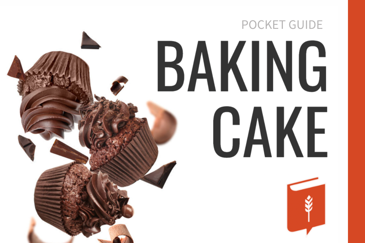 Baking Cake Pocket Guide eBook.