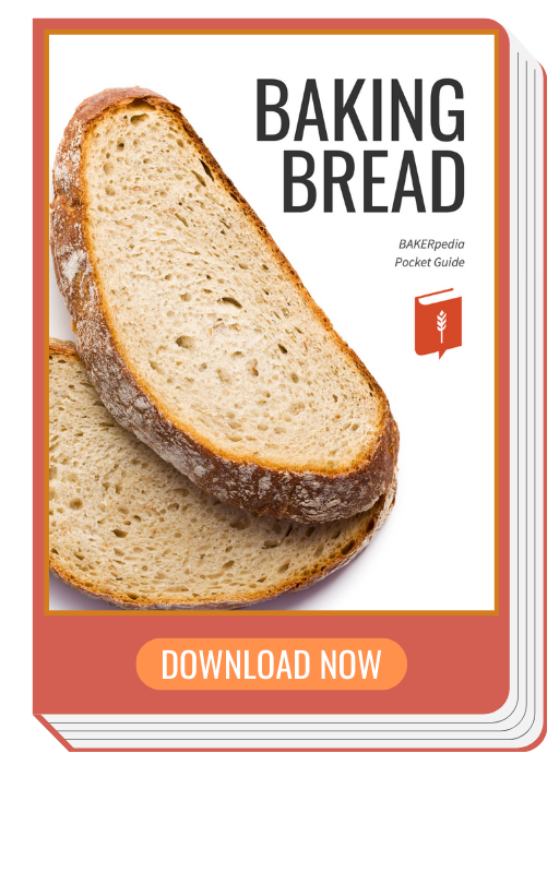Bread Pocket Guide ebook, a guide to product development.