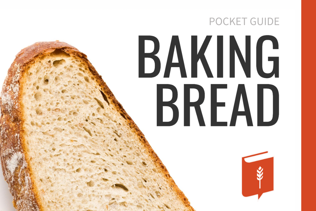 Bread pocket guide ebook.