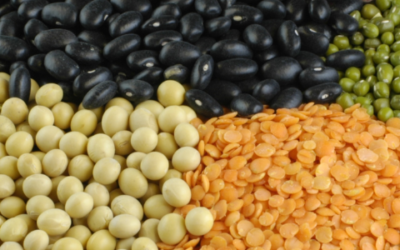 Unlocking the Potential of Pulses in Baking