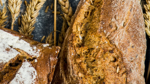 Making Artisan Bread More Amazing Bakerpedia