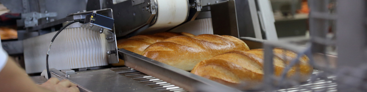 Fava or faba beans can be used in gluten-free baking, and as a source of protein.