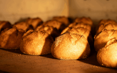 Calculating Relative Humidity in Baking