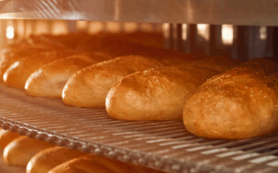 The Importance of Smart Quality Control