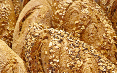 Top Trends to Look for in 2026