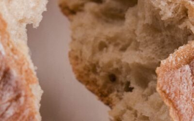 Preventing Rope Spoilage Before It Unravels Your Batch