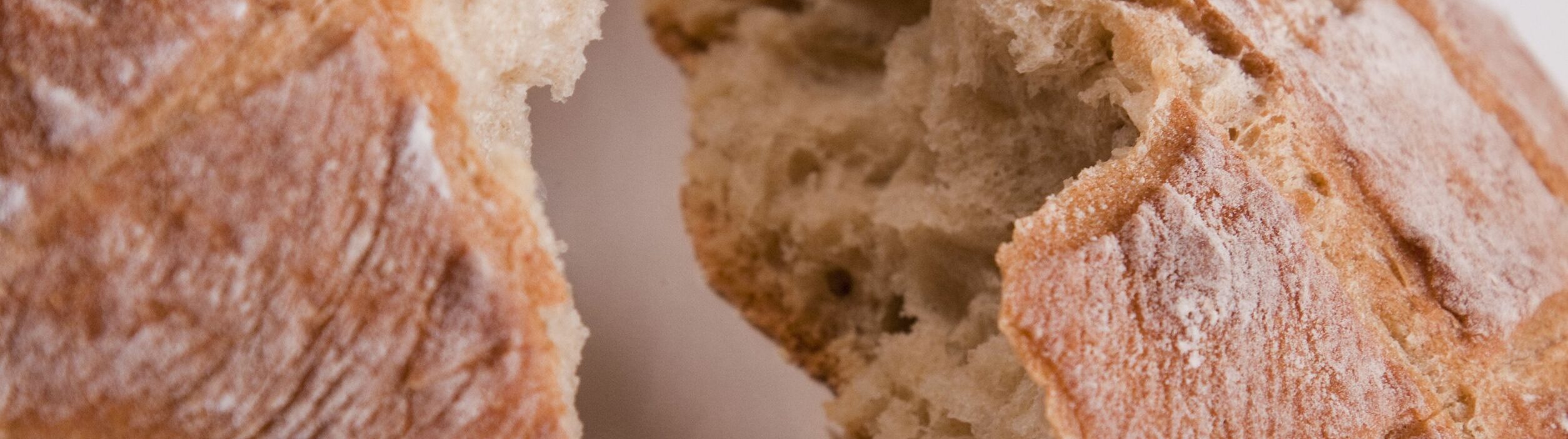 Preventing Rope Spoilage Before It Unravels Your Batch