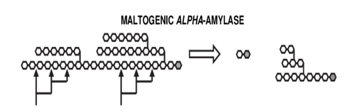 The Science of Staling