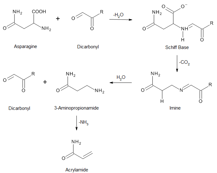 Chemical Structure of Acrylamide.