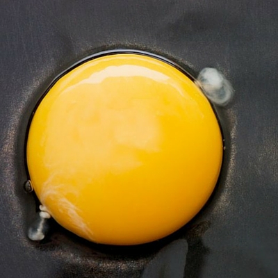 Egg Yolk