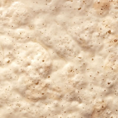 Preferment is a method of using aged dough in new recipes.